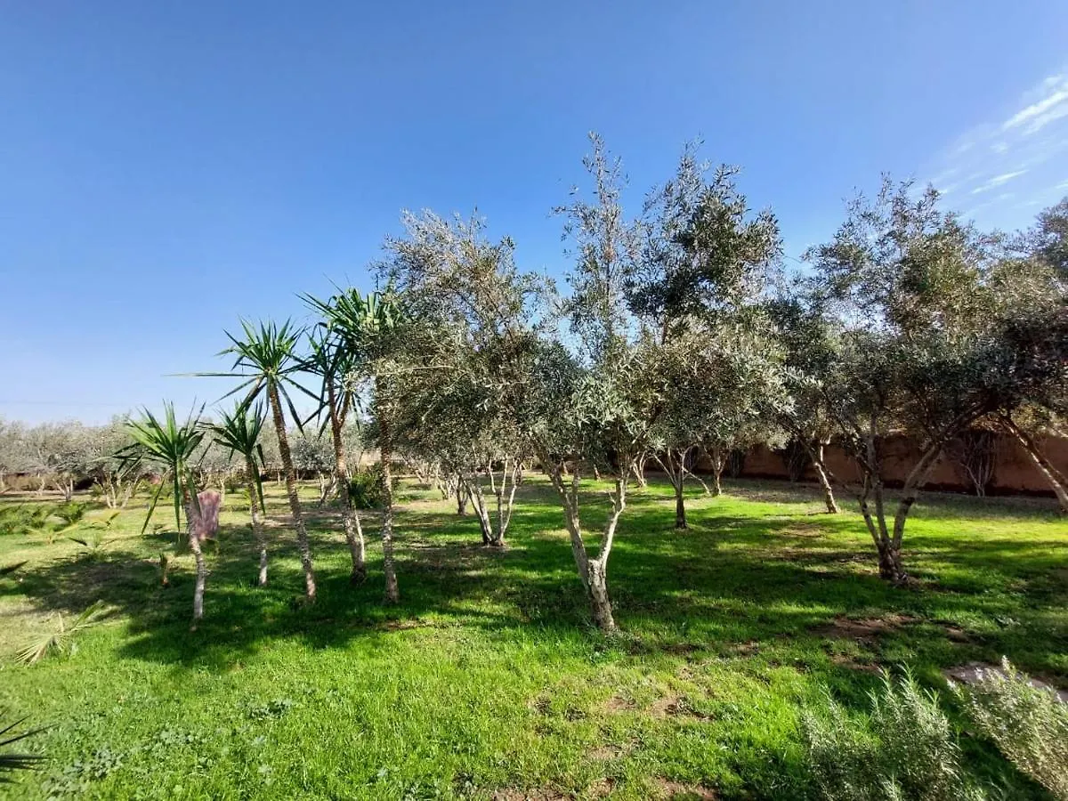 Manzal Lahbab Bed & Breakfast Marrakesh 0*,  Morocco