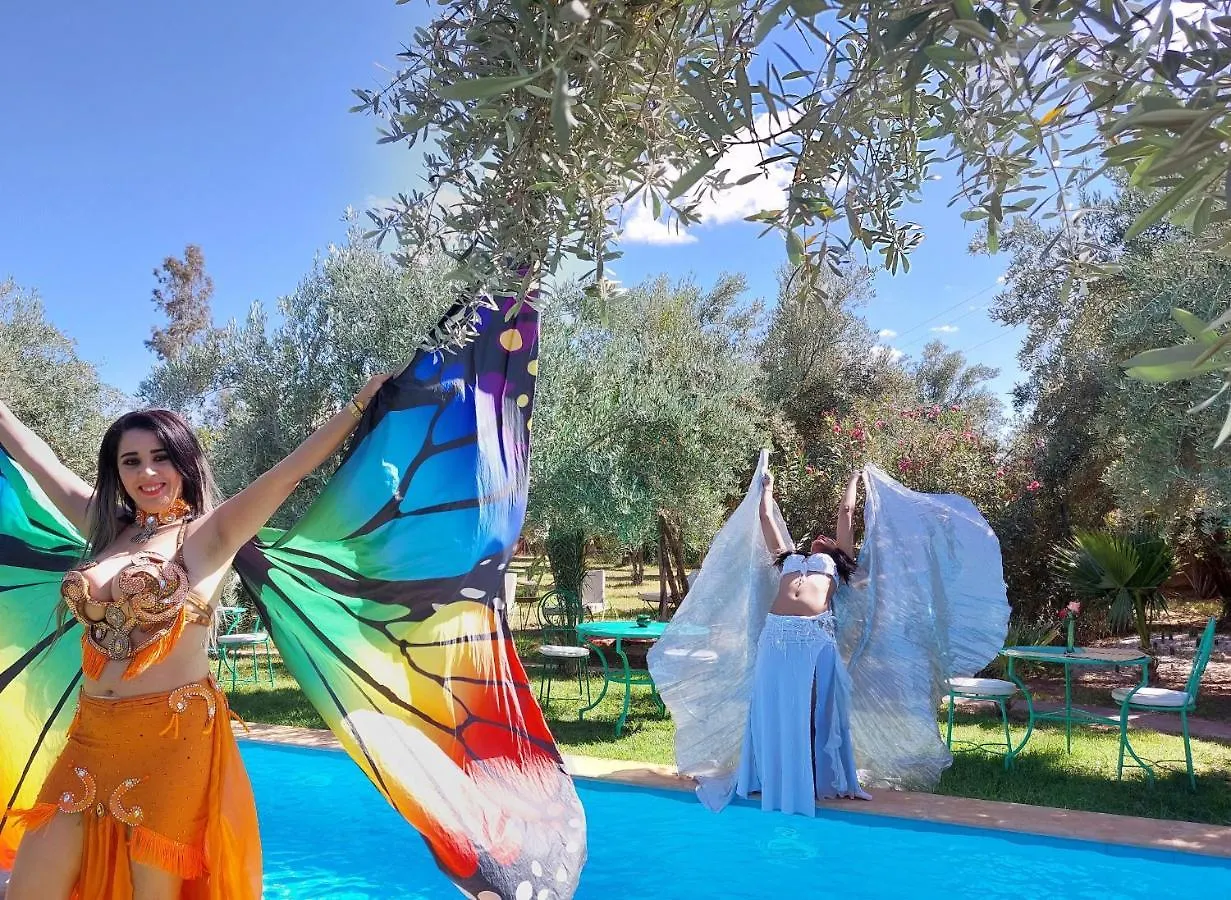 مبيت وإفطار مراكش Manzal Lahbab المغرب