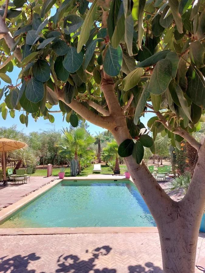 مبيت وإفطار مراكش Manzal Lahbab المغرب
