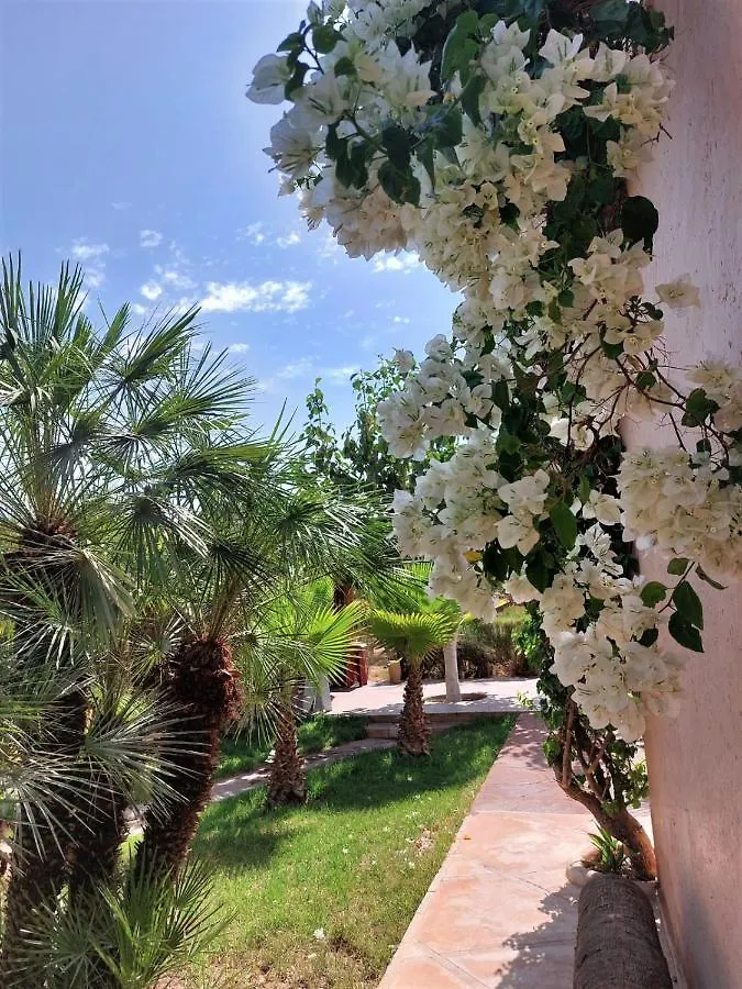 فندق مبيت وإفطار مبيت وإفطار مراكش Manzal Lahbab